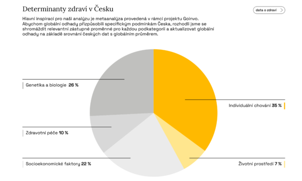 Náhled determinanty